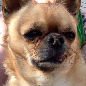 Meet your Posher, Jen